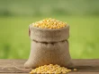 خرید ذرت برزیلی فرانهاده