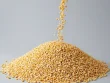 فروش ذرت دانه ای فرانهاده