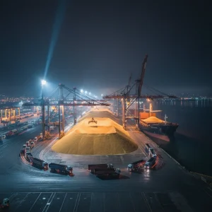 خرید ذرت از بندر