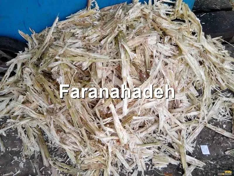 خرید باگاس نیشکر