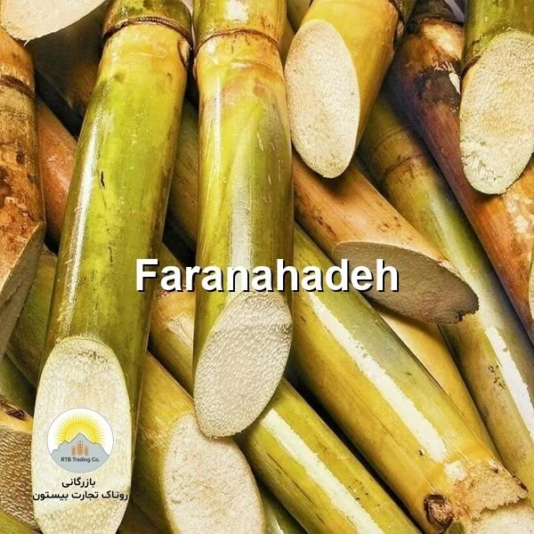 خرید باگاس نیشکر
