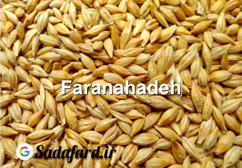 خرید جو از بندر امام