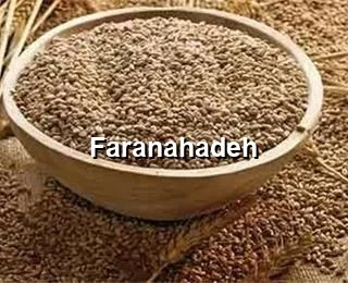 خرید سبوس گندم دامی شیراز