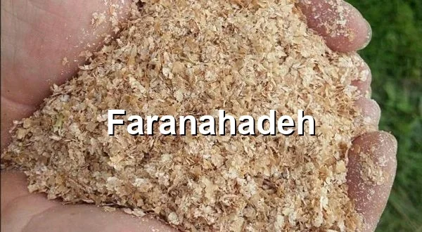 خرید سبوس گندم دامی شیراز