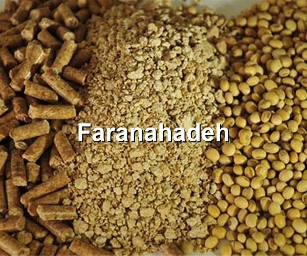 خرید عمده کنجاله سویا