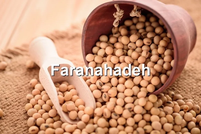 خرید عمده کنجاله سویا