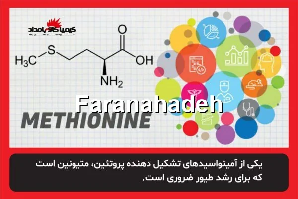 خرید متیونین هیدروکسی آنالوگ