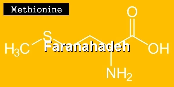 خرید متیونین هیدروکسی آنالوگ