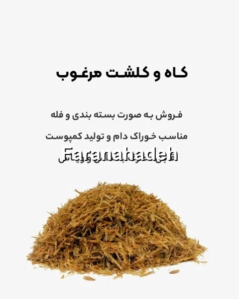 خرید ملاس دامی