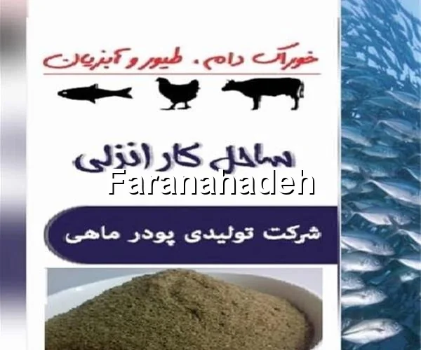 خرید و فروش عمده پودر ماهی