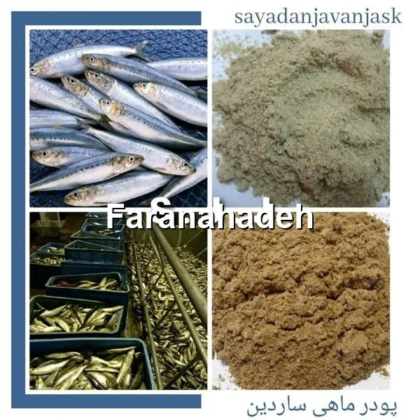 خرید و فروش عمده پودر ماهی
