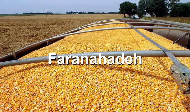 شرایط واردات ذرت