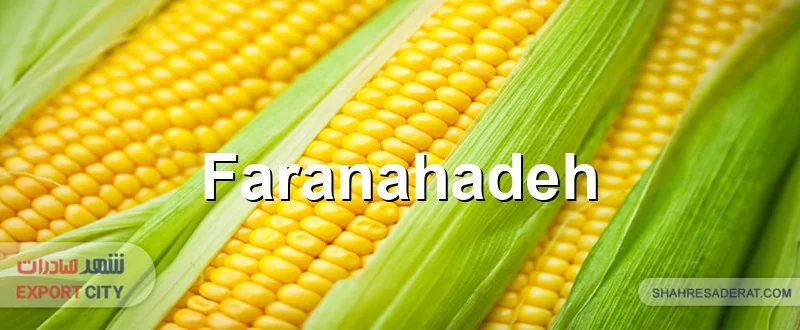 شرایط واردات ذرت