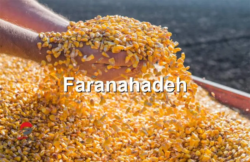 شرایط واردات ذرت