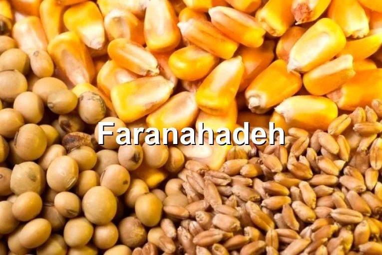 شرکت پخش ذرت