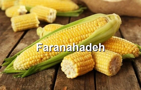 شرکت پخش ذرت