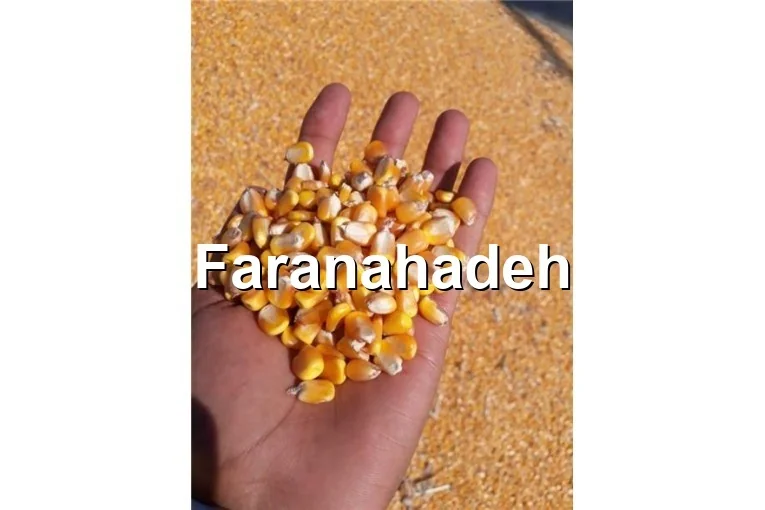 شرکت پخش ذرت