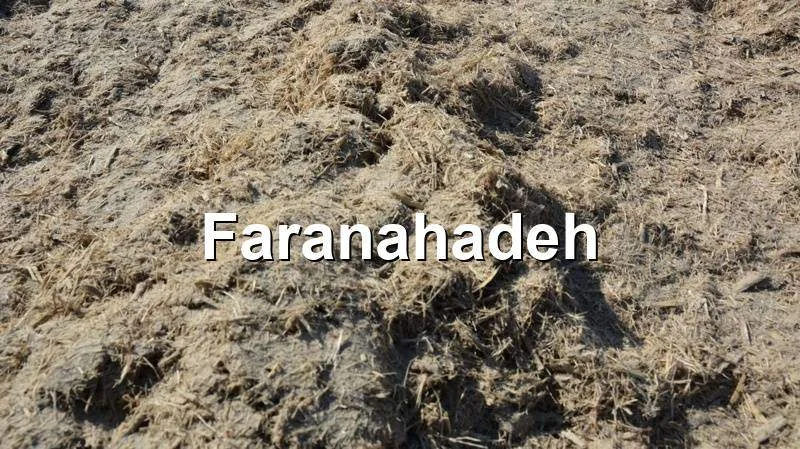 صادرات باگاس نیشکر
