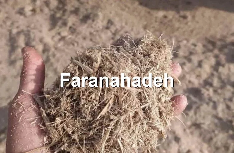 صادرات باگاس نیشکر