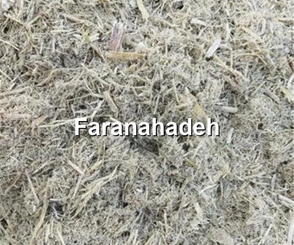 فروش باگاس نیشکر