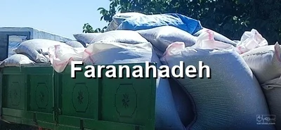 فروش کنجاله تخمه آفتابگردان