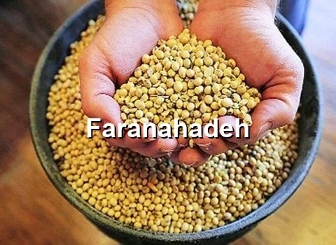 فروش کنجاله سویا دامی