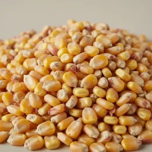 قیمت ذرت سال ۱۴۰۴