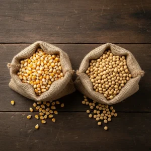 قیمت ذرت و سویا امروز