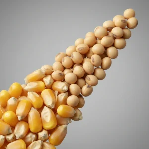 قیمت ذرت و سویا امروز