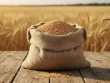قیمت سبوس گندم برای مرغ