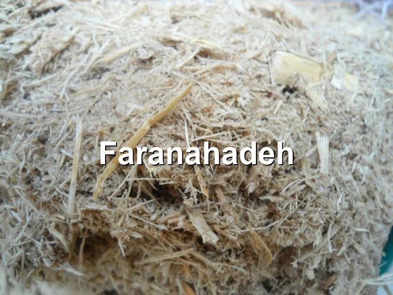 قیمت باگاس در خوزستان