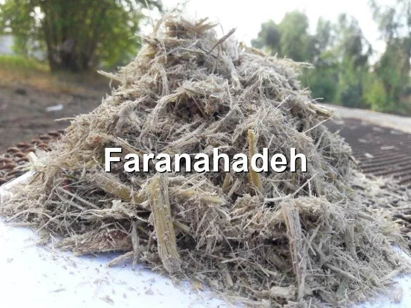 قیمت باگاس نیشکر