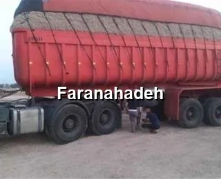 قیمت باگاس نیشکر