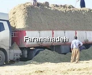 قیمت باگاس نیشکر
