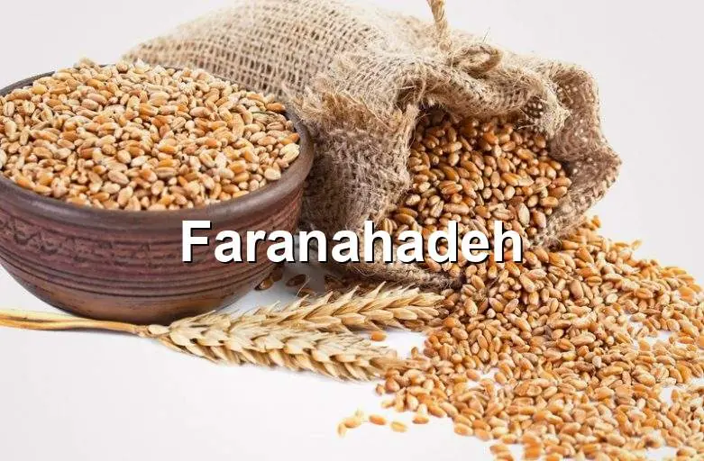 قیمت جو خارجی بندر امیرآباد