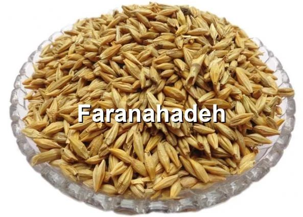 قیمت جو دامی