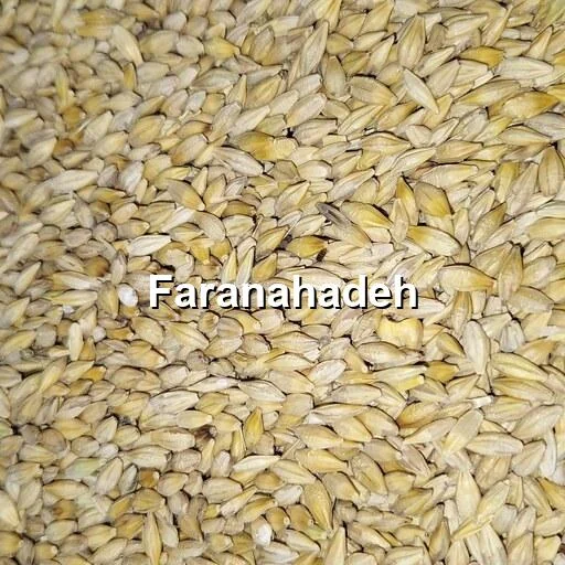 قیمت جو دامی