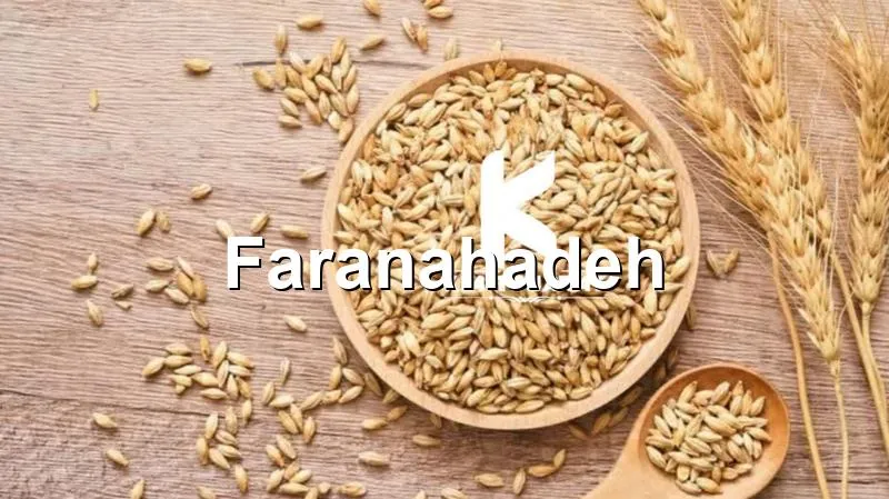 قیمت جو دامی