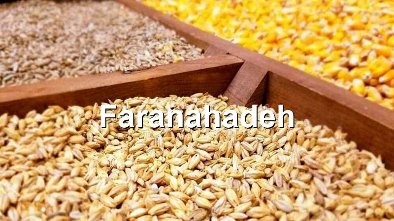 قیمت جو وارداتی در بندر