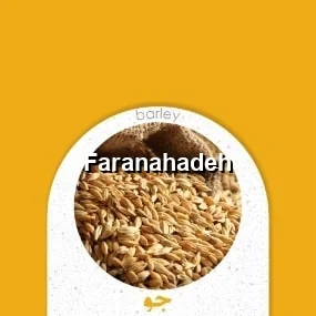 قیمت جو وارداتی در بندر