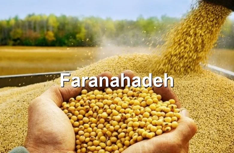 قیمت خرید کنجاله سویا