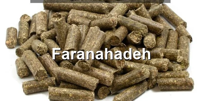 قیمت خرید کنجاله سویا