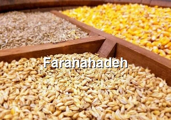 قیمت ذرت و سویا امروز