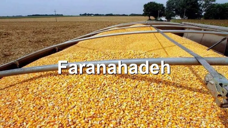 قیمت ذرت و سویا امروز