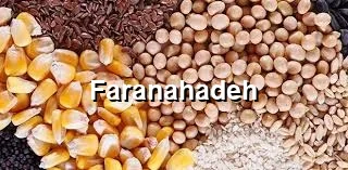 قیمت ذرت و سویا امروز