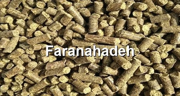 قیمت روز کنجاله کلزا