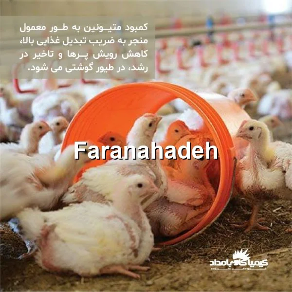 قیمت متیونین طیور
