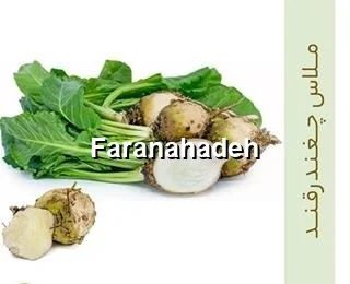 قیمت ملاس دامی