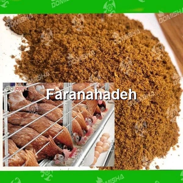 قیمت هر کیلو پودر گوشت