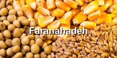 قیمت هر کیلو کنجاله سویا